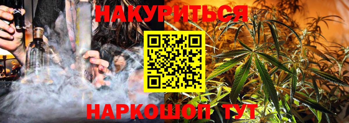 Шишки марихуана план  Шишки марихуана марихуана  Сертолово  Вход с VPN  Бошки Шишки Bruce Banner 
